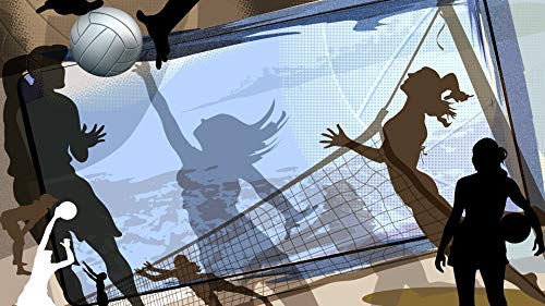 NOVELOVE Imagen de Arte de Pared Minimalista Partido de Voleibol Femenino Cartel Deportivo Impresión Lienzo Pintura Regalo Decoración para el hogar sin Marco 40 * 70 cm